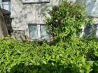 1-Zimmer Apartment Wohnung Göttingen Nord